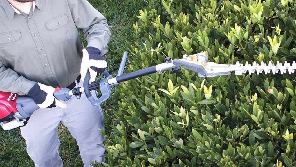 Image of a man using handheld on bush